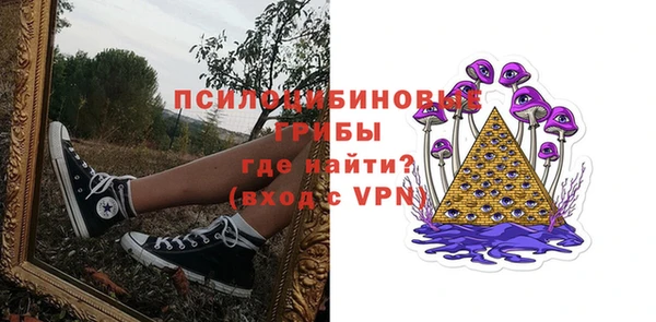 ALPHA PVP Алексин