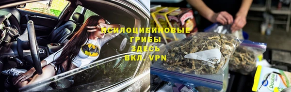 ALPHA PVP Алексин